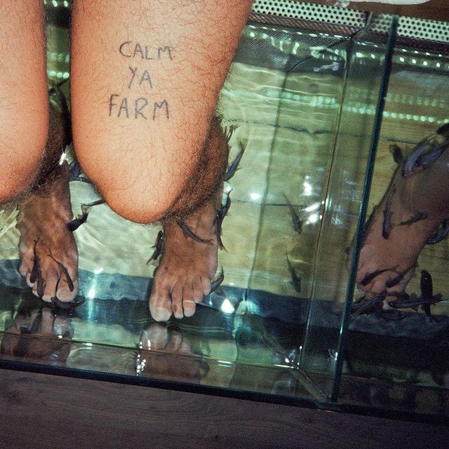 @themurlocs new album CALM YA FARM announced! New single/video for Initiative is live 🔥🔥🔥🔥 Album out on @atorecords on May 19 (worldwide) / Uncle Murl ( Au/Nz) Pre-order link in bio. 
Recorded in their home studios and mixed by repeat collaborator John Lee, Calm Ya Farm brings that sun-drenched sound to tracks like lead single “Initiative”: a sweetly raucous anthem for growing up without completely shaking off your reckless side. “It’s about recognizing the need to start taking responsibility for your life instead of always living in the now and killing all your brain cells along 
the way. Not everyone wants the big family and the big house with the white picket fence. Everything happens for a reason and sometimes you need to take things more seriously and make a few power moves in life to find out what comes next in the crystal ball.” - Ambrose Kenny-Smith
