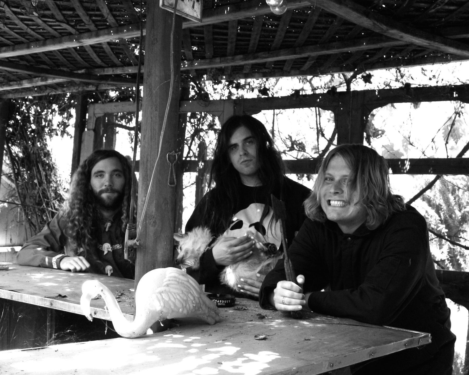 Fuzz - Tour Dates & News - Panache